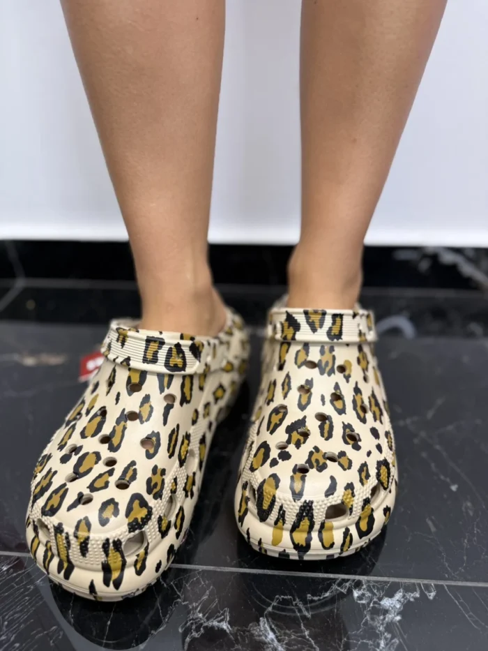 Soho Animal - Image 2