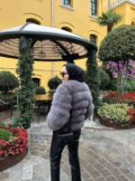 Silver Cloud Fox” - Image 4